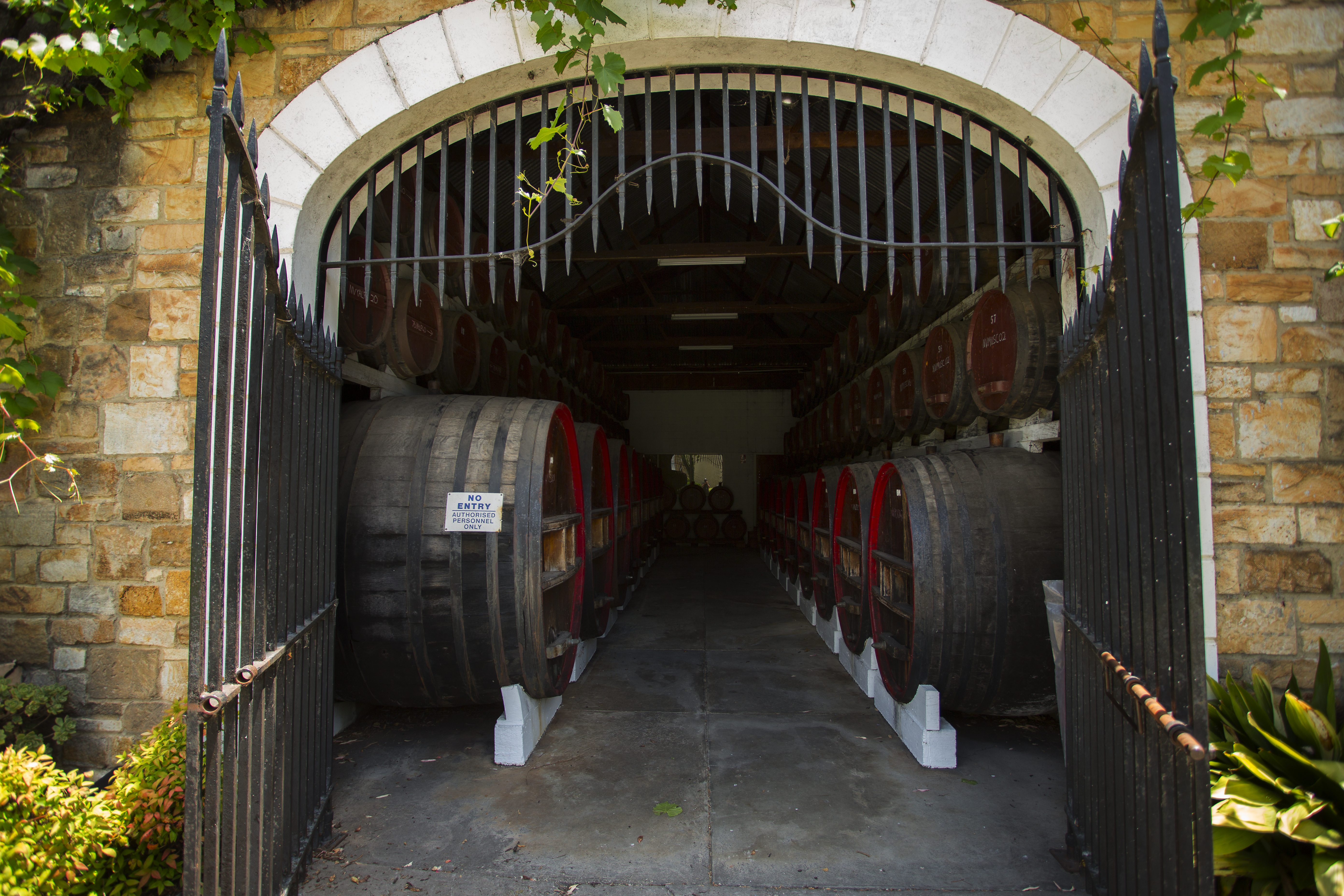 Cellar Area